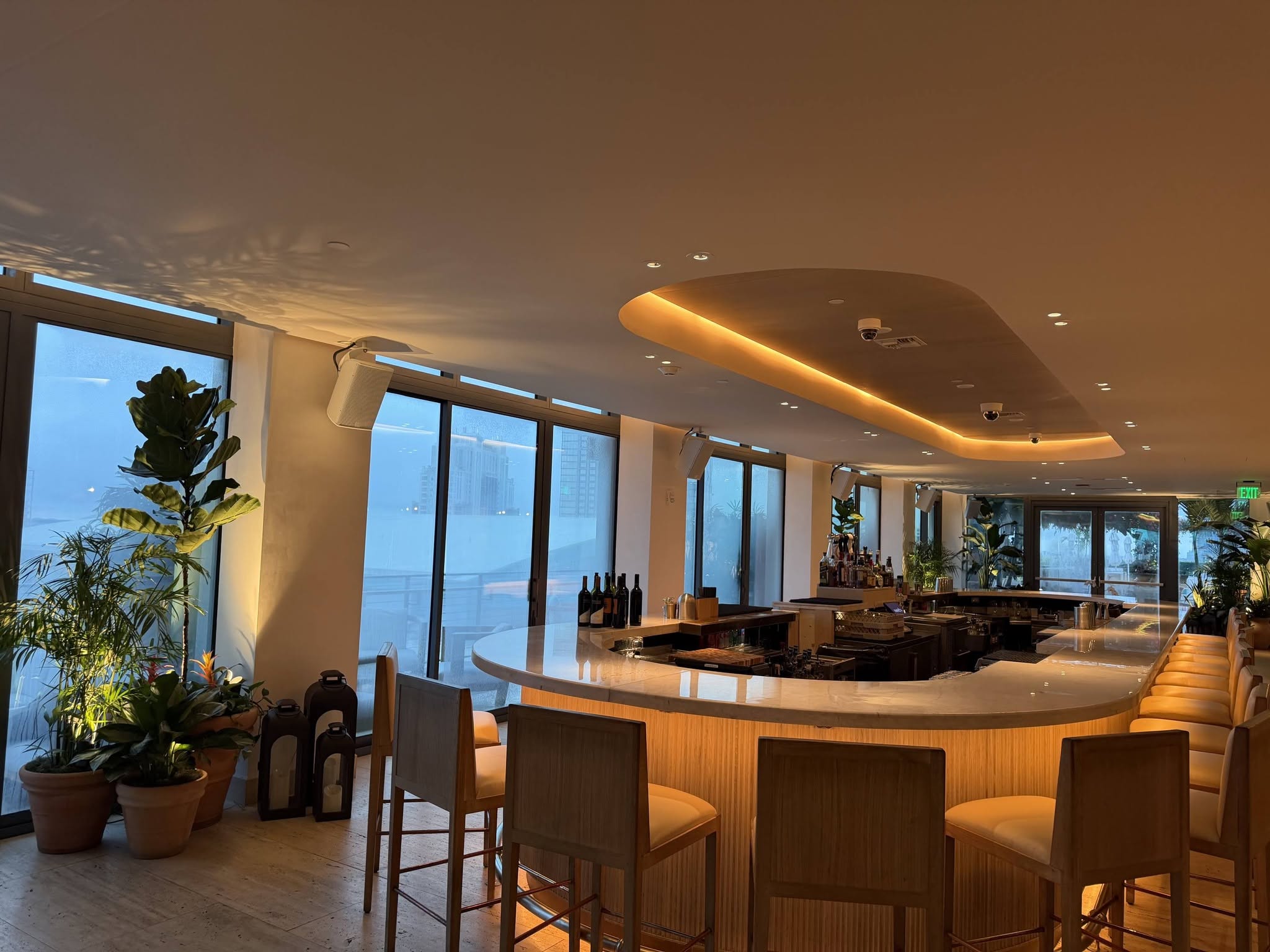 Fiddle leaf fig, palms, and bromeliads beside a curved hotel bar at dusk