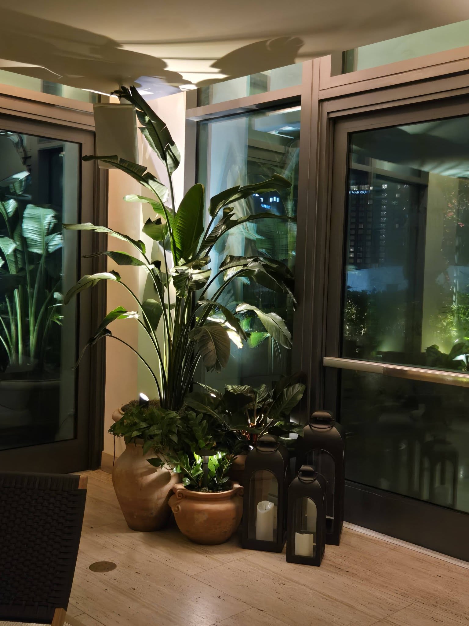 Bird of paradise and ZZ plants in terracotta urns with black lanterns in a hotel window corner at night