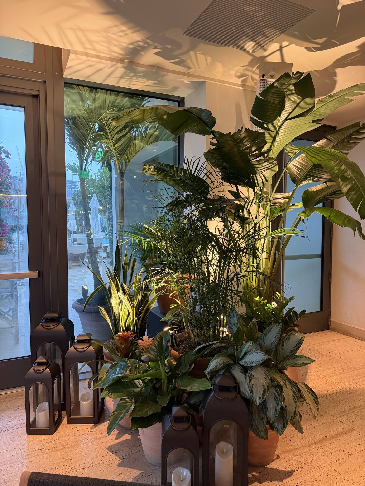 Grouping of bird of paradise, parlor palm, snake plant, aglaonema, and bromeliads in terracotta pots with lanterns